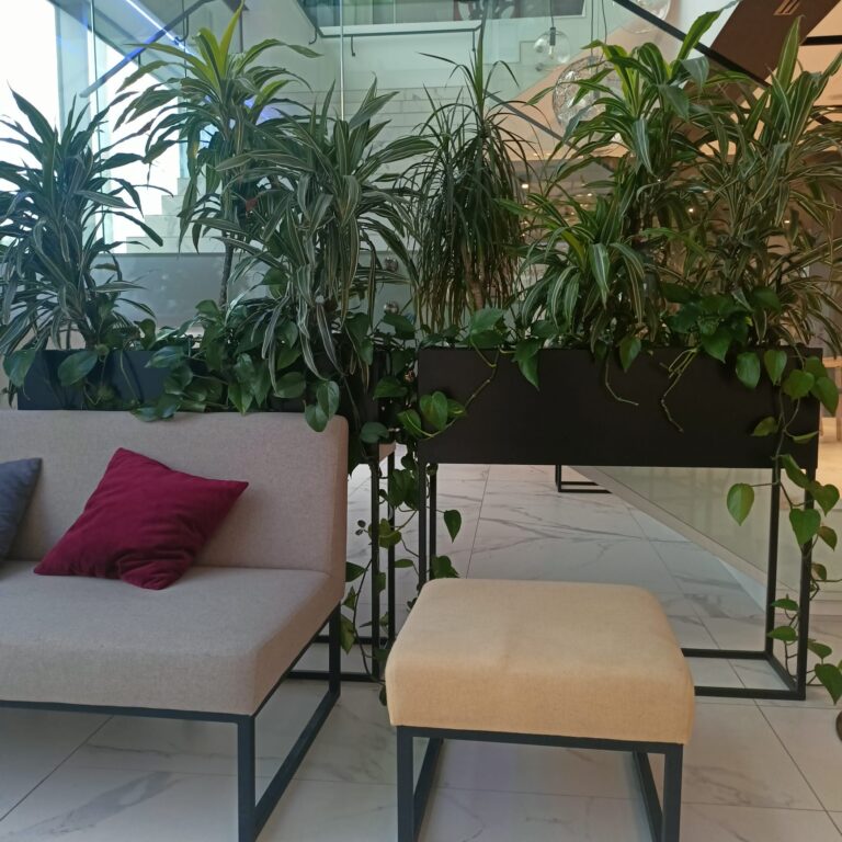 Read more about the article Zaufali Nam- Arche hotel